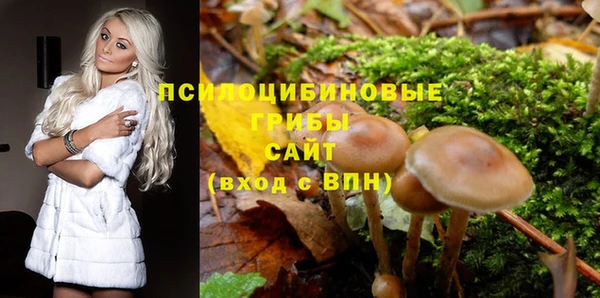 винт Белокуриха
