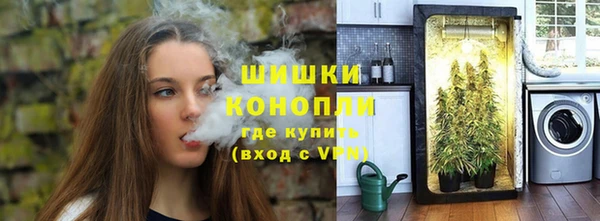 ПСИЛОЦИБИНОВЫЕ ГРИБЫ Лагань