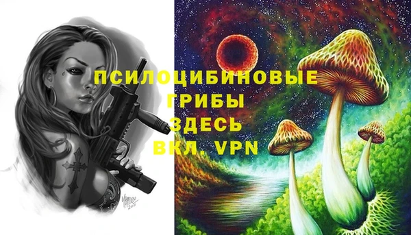 ALPHA-PVP Баксан