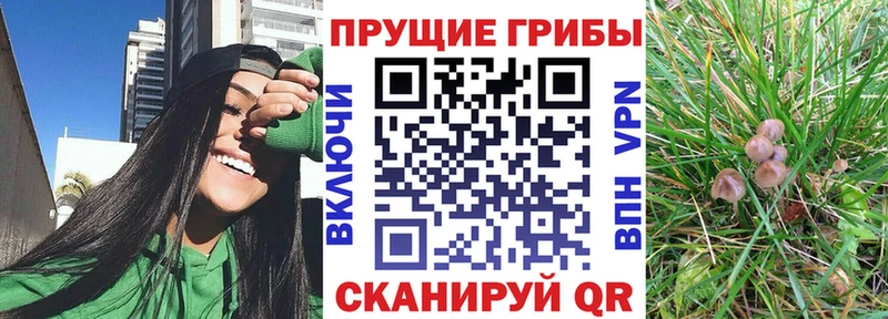 Псилоцибиновые грибы Magic Shrooms  Реутов 